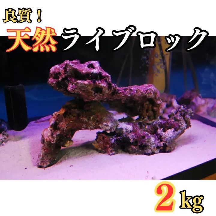 即日発送】良質 天然 ライブロック 2kg (量り売り) サンゴ