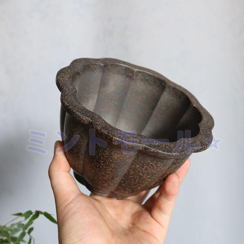 雲脚蓮華鉢 紫砂の鉢 盆栽鉢 植木鉢 小品盆栽鉢 大品盆栽鉢 蓮華盆 紫砂盆鉢 盆栽鉢 植木鉢 小品盆栽鉢 大品盆栽鉢 - メルカリ