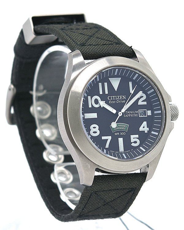 ☆箱保付！美品！CITIZEN シチズン ECO-DRIVE エコドライブ イギリス海