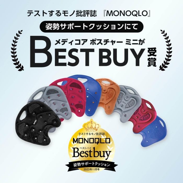 BackJoy バックジョイ