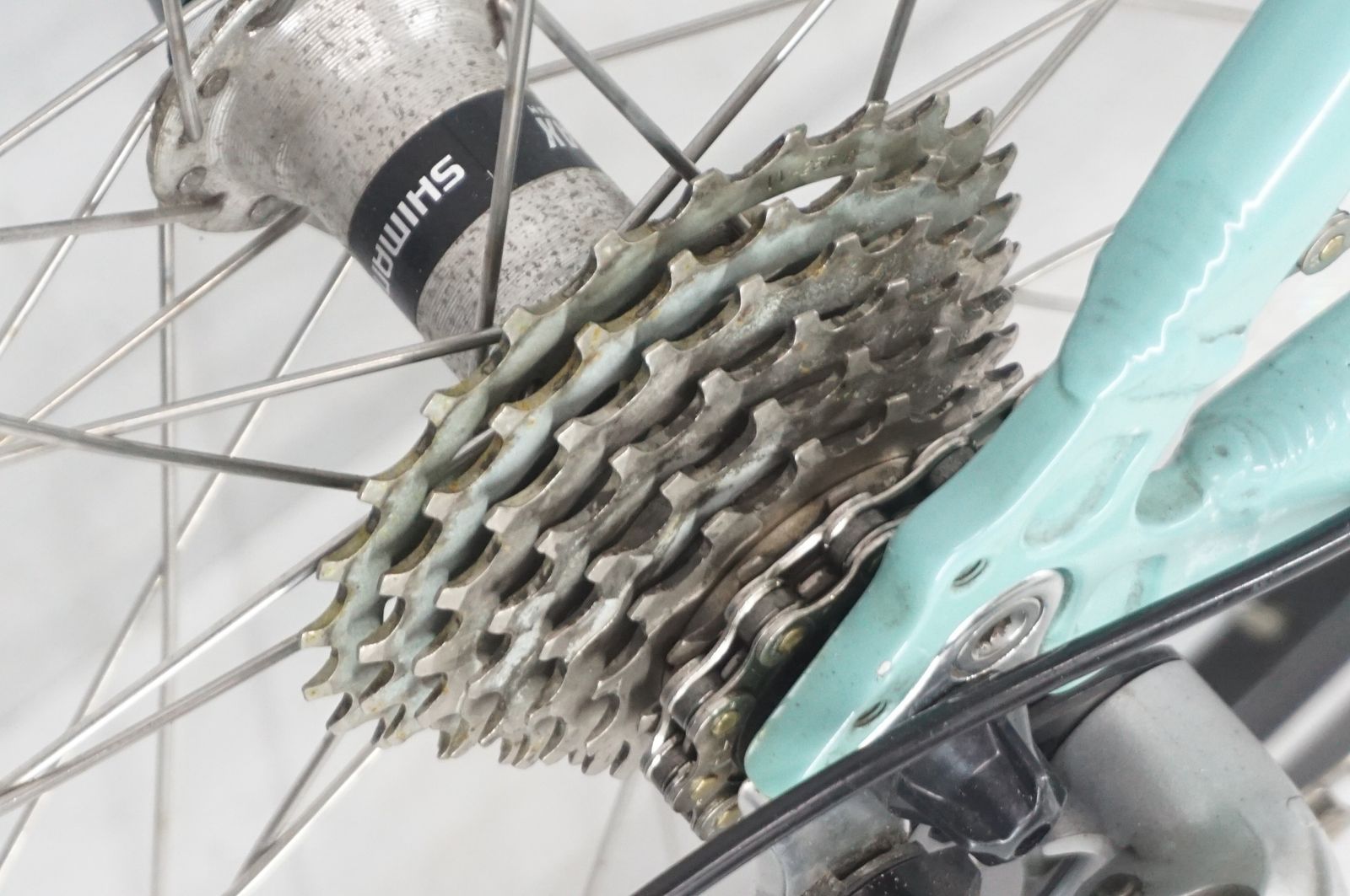 BIANCHI ビアンキ