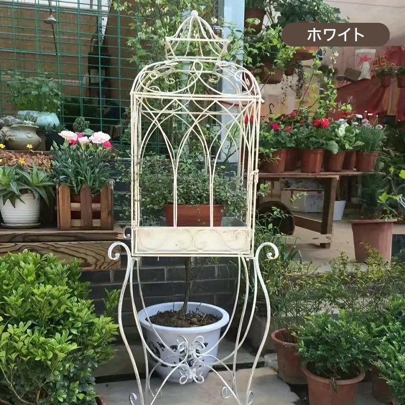 バードケージ デザイン
