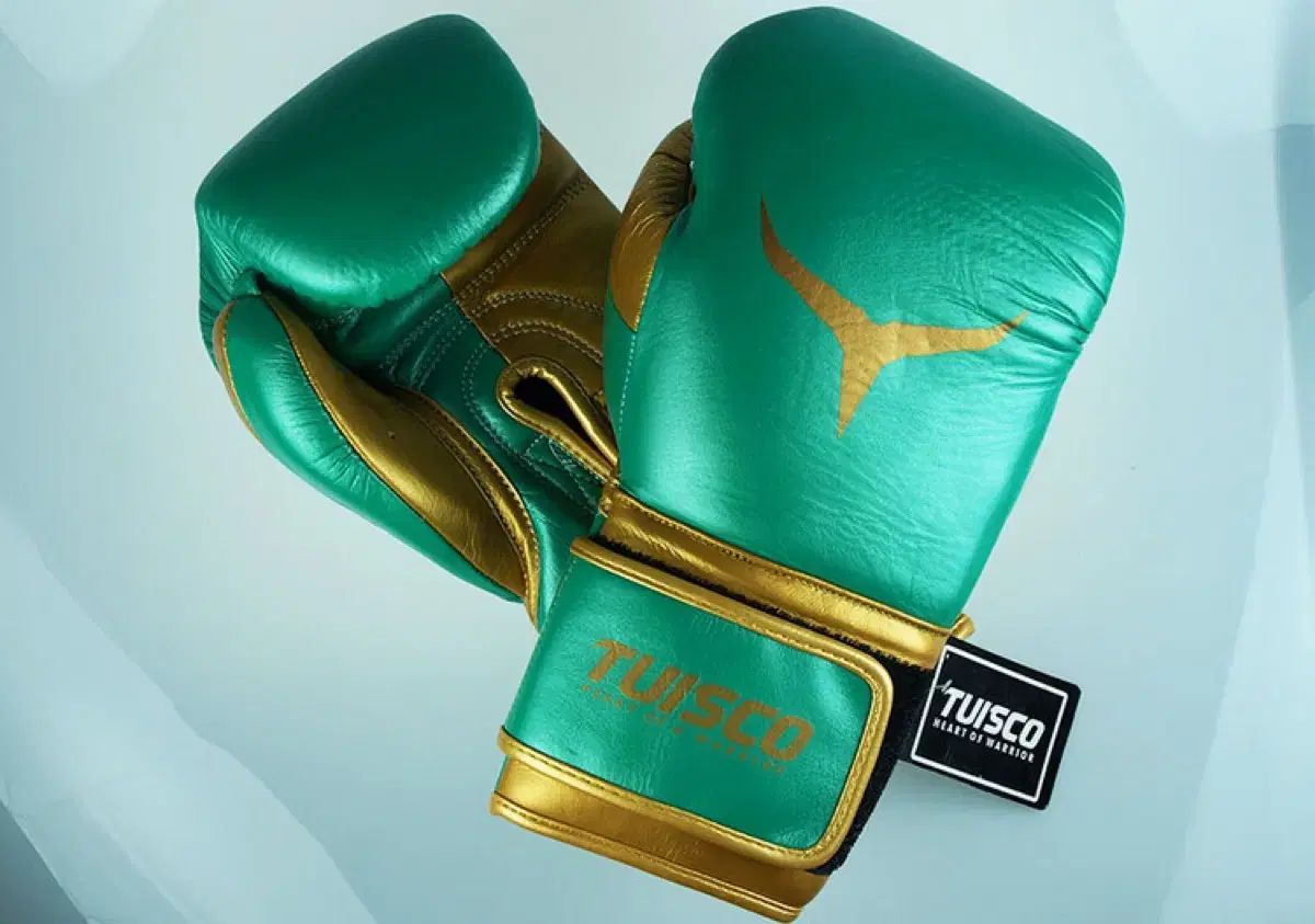 フェアテックス ムエタイ ボクシング スパーリング グローブ 14オンス