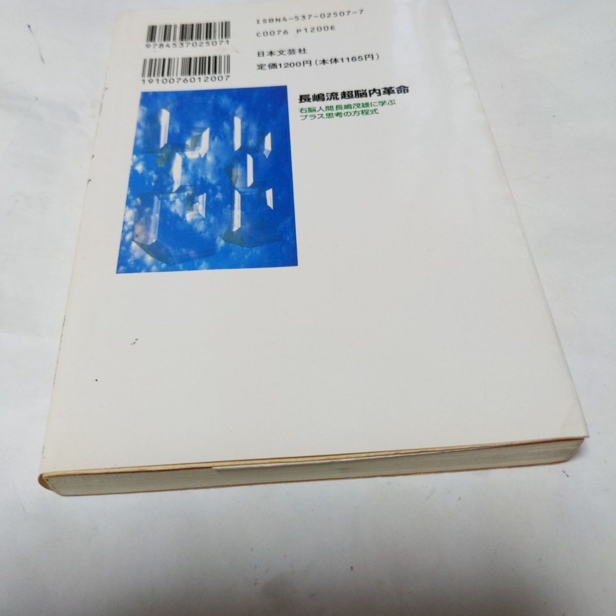 ❖ミスター書籍❖「長嶋流 超 脳内革命」著:椿 泰行 平成8年4月10日