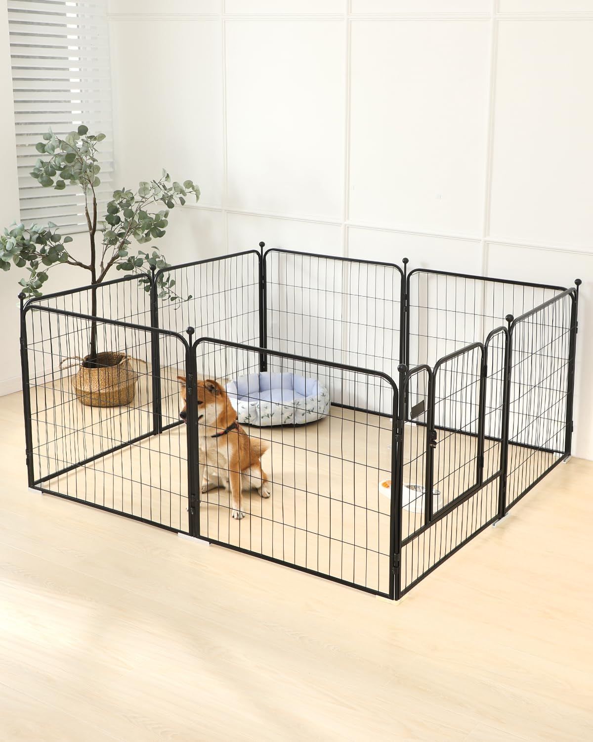 犬サークル
