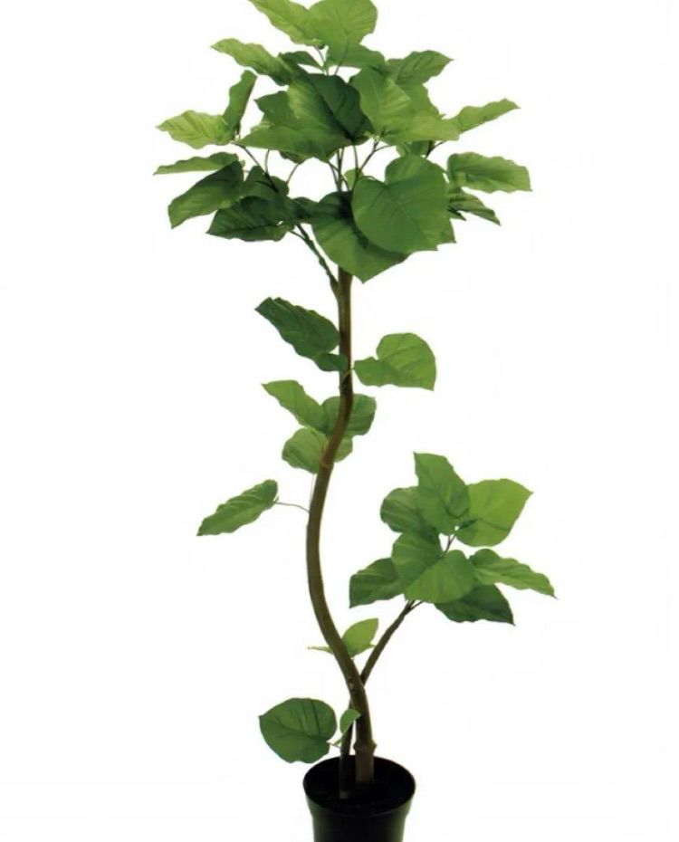 光触媒　人工観葉植物　ウォールグリーン　フェイクグリーン　スパイラルウンベラータ 光触媒 人工観葉植物 ウォールグリーン フェイクグリーン