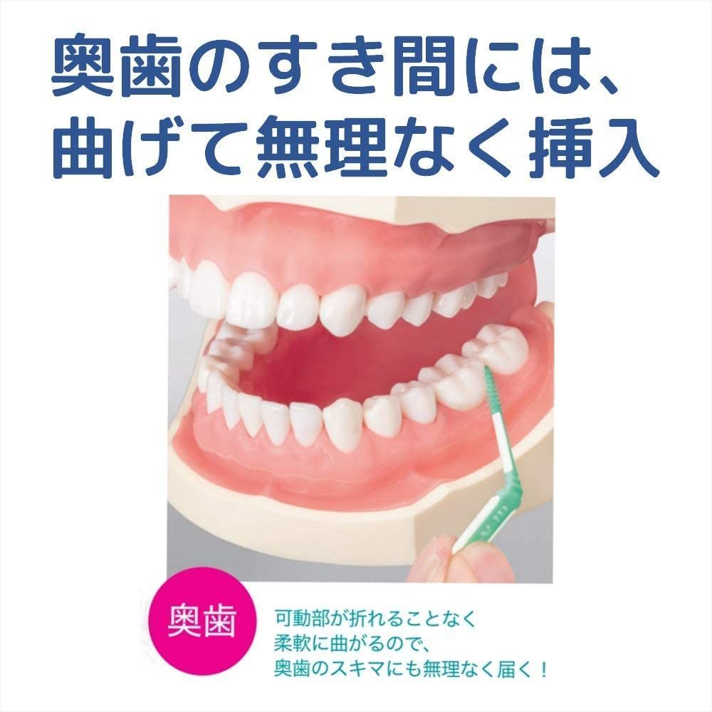 サイズ