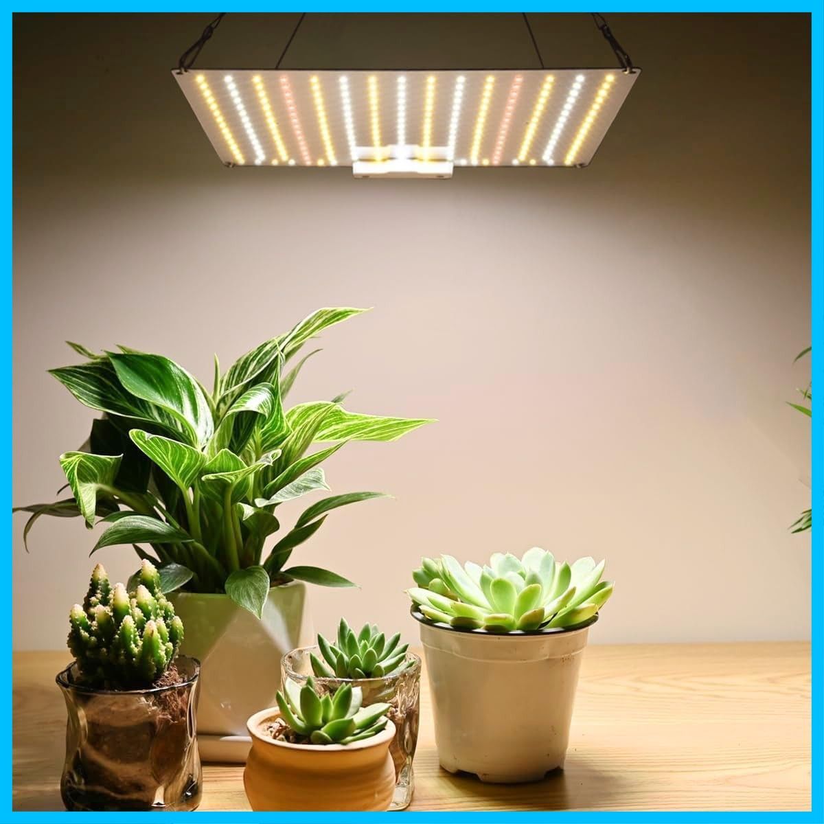 植物用ledライト