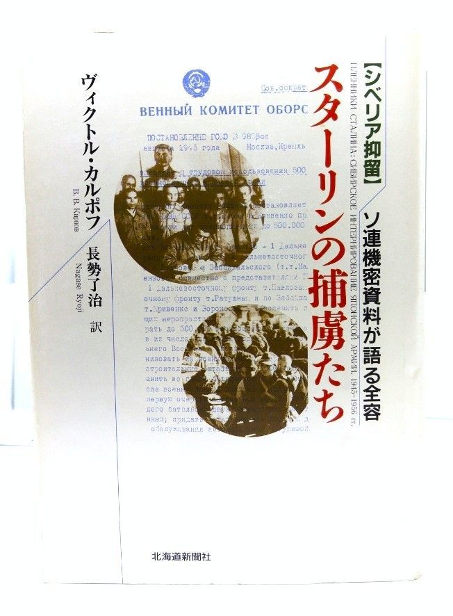ボヴァリー夫人('89ソ連) ボヴァリー夫人('89ソ連) ボヴァリー夫人 - 映画情報・レビュー
