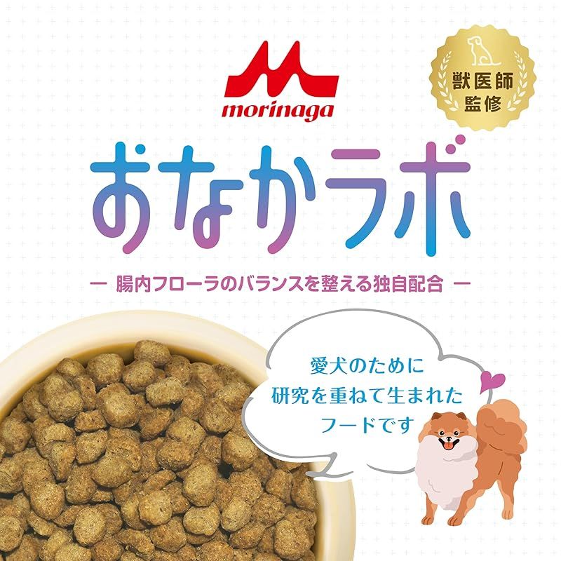 森乳サンワールド スーパーゴールド おなかラボ 成犬用 2.4kg 1