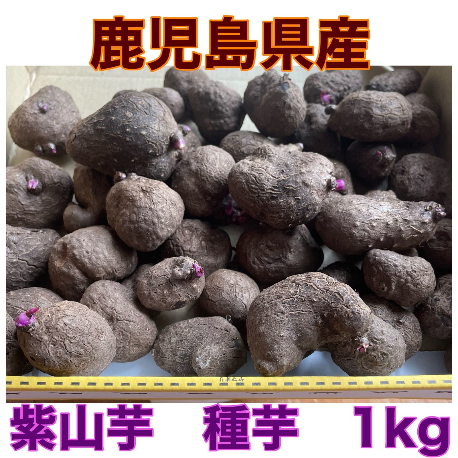 紫山芋 美味