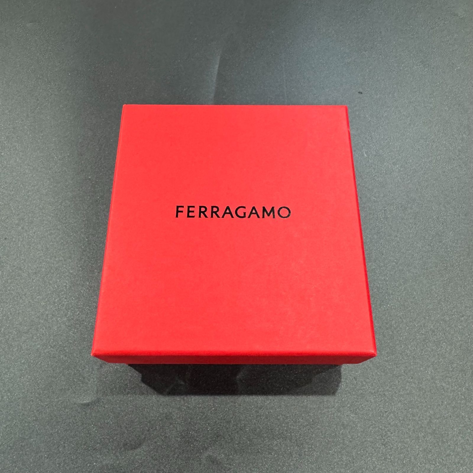 サルヴァトーレフェラガモ カチューシャ B25102296