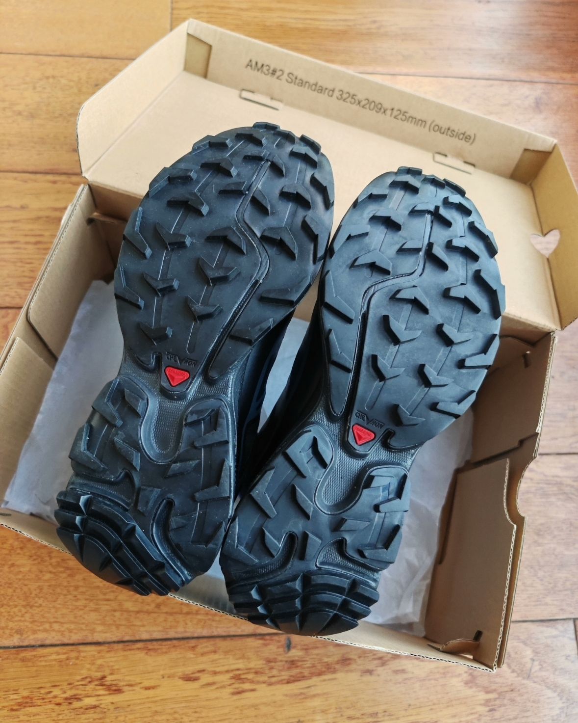 Salomon