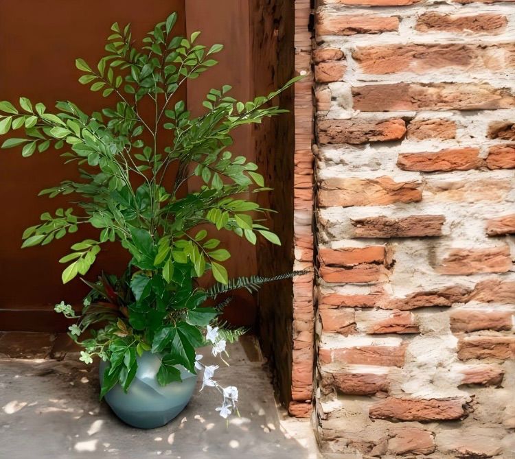 光触媒 人工観葉植物 ウォールグリーン セール中 フェイクグリーン