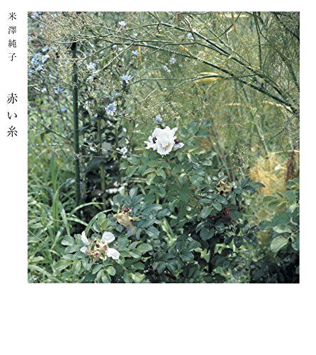 赤い糸／米澤純子