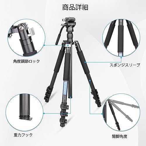 ファイバー カメラビデオ