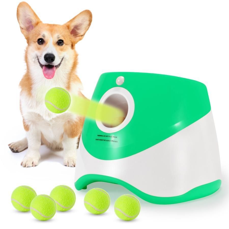犬 自動