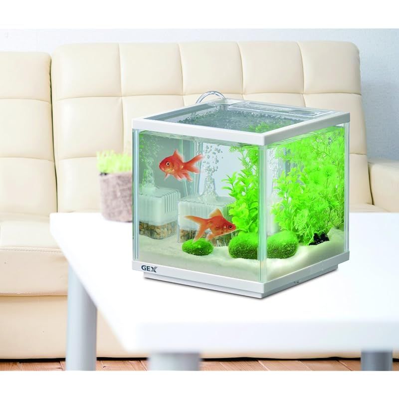 GEX 金魚元気 キューブセット 水槽サイズ:約W20×D20×H20cm 水