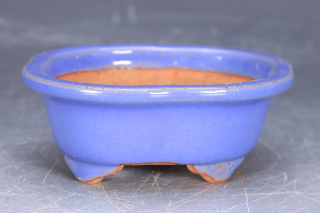 石井盆栽 渡辺壱興作 水色 盆栽鉢 p-035 YUZUMIYA_COM