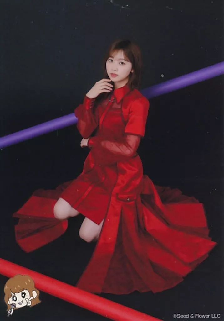 中古】生写真(乃木坂46) 日向坂46/富田鈴花/座り・「13th Single