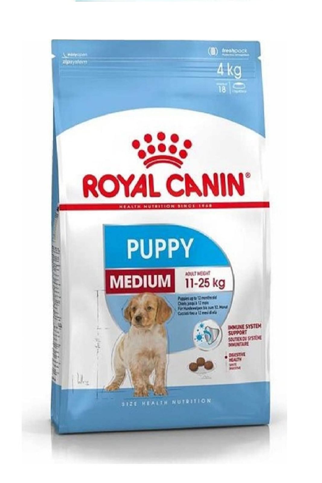 ロイヤルカナン SHN ミディアム ジュニア 犬用 4kg 【公式通販】