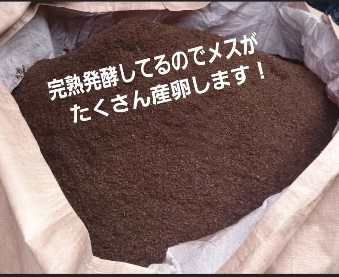 天然の有効菌のみで仕上がったバクテリアマット 幼虫の餌