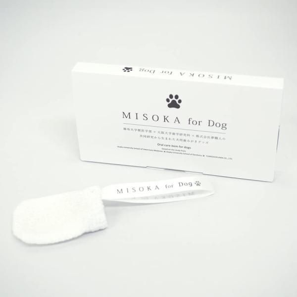 ダイヤのA 沢村栄純 缶ミラー 大江戸温泉物語 コラボ 限定