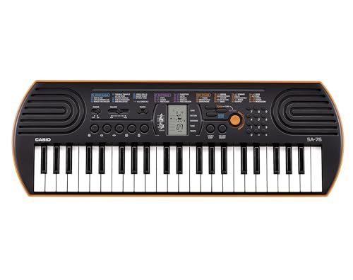 カシオ CASIO ミニキーボード Casiotone SA-76 44ミニ鍵盤 100音色内蔵 正確な音程だから音とりにも便利 液晶画面搭載 2電源対応