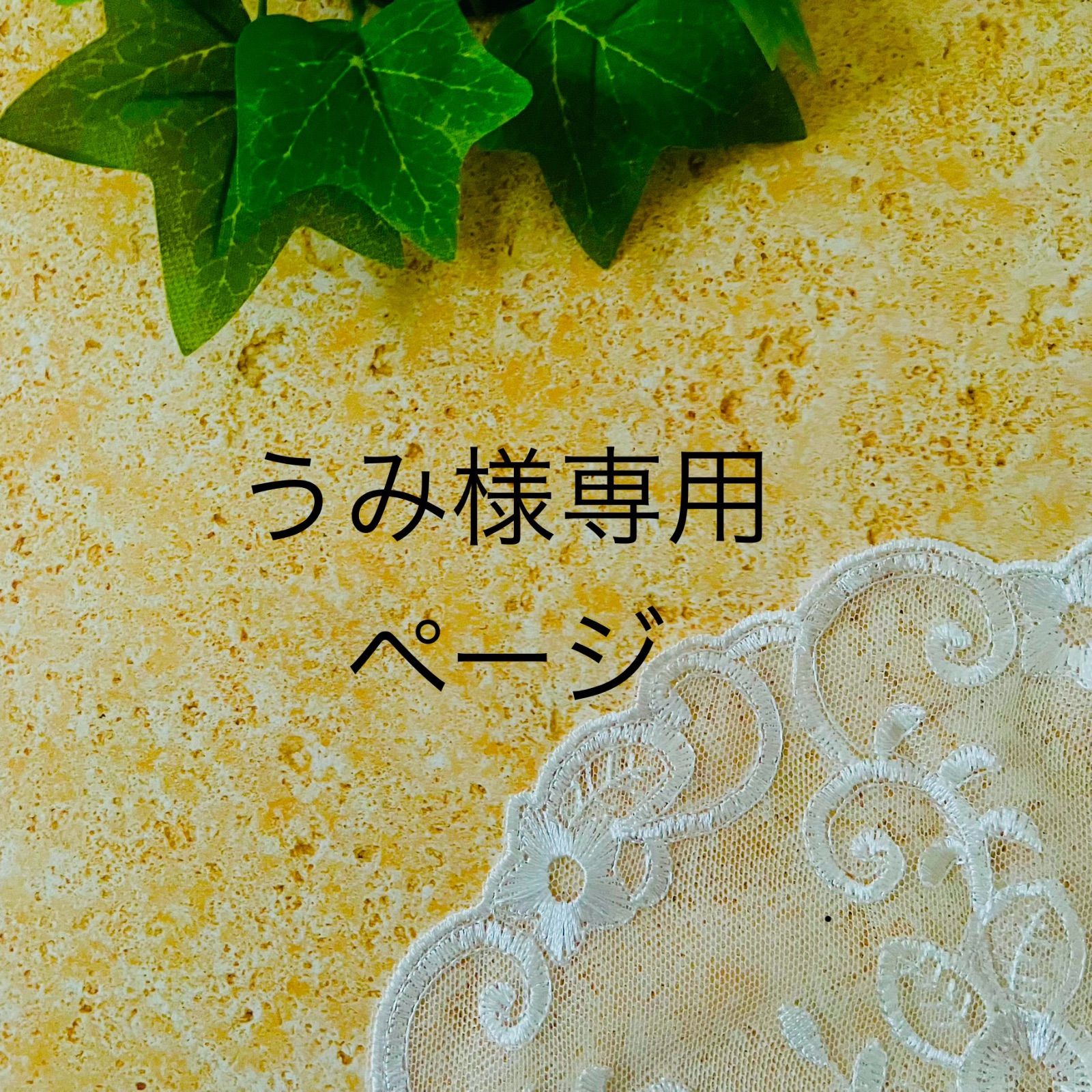 umi様専用 （うみ様専用 新米 無農薬コシヒカリ玄米20kg(5kg×4