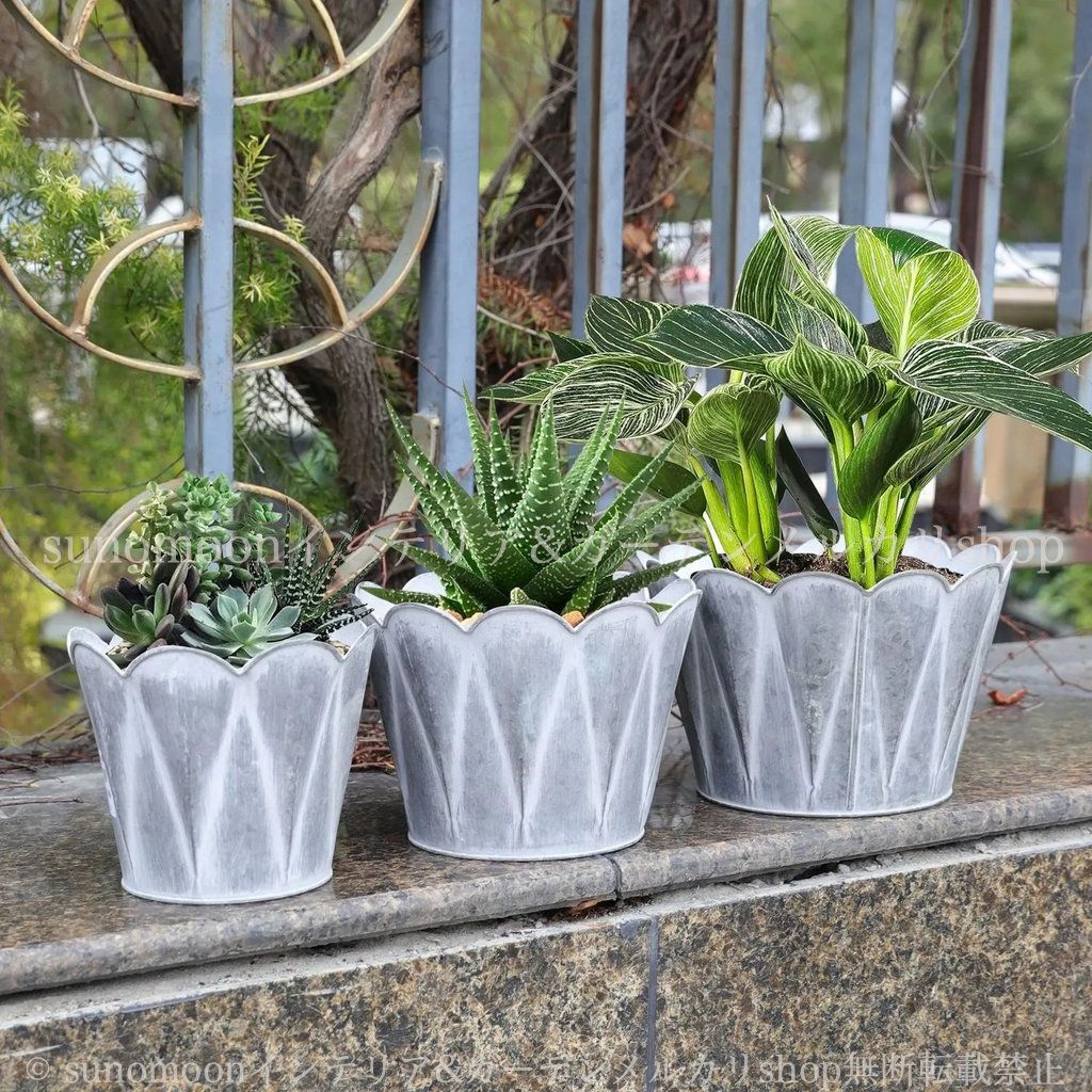 雑貨 庭の装飾 ガーデニング ガーデン雑貨 エレガント グレー 鉢植え お洒落 ガーデンインテリア サイズ違い ヴィンテージ調 プランター 3個セット 8-14 ガーデン おしゃれ インテリア 亜鉛メッキ 植木鉢