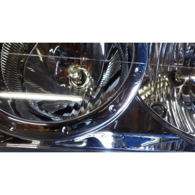 テリオスキッド