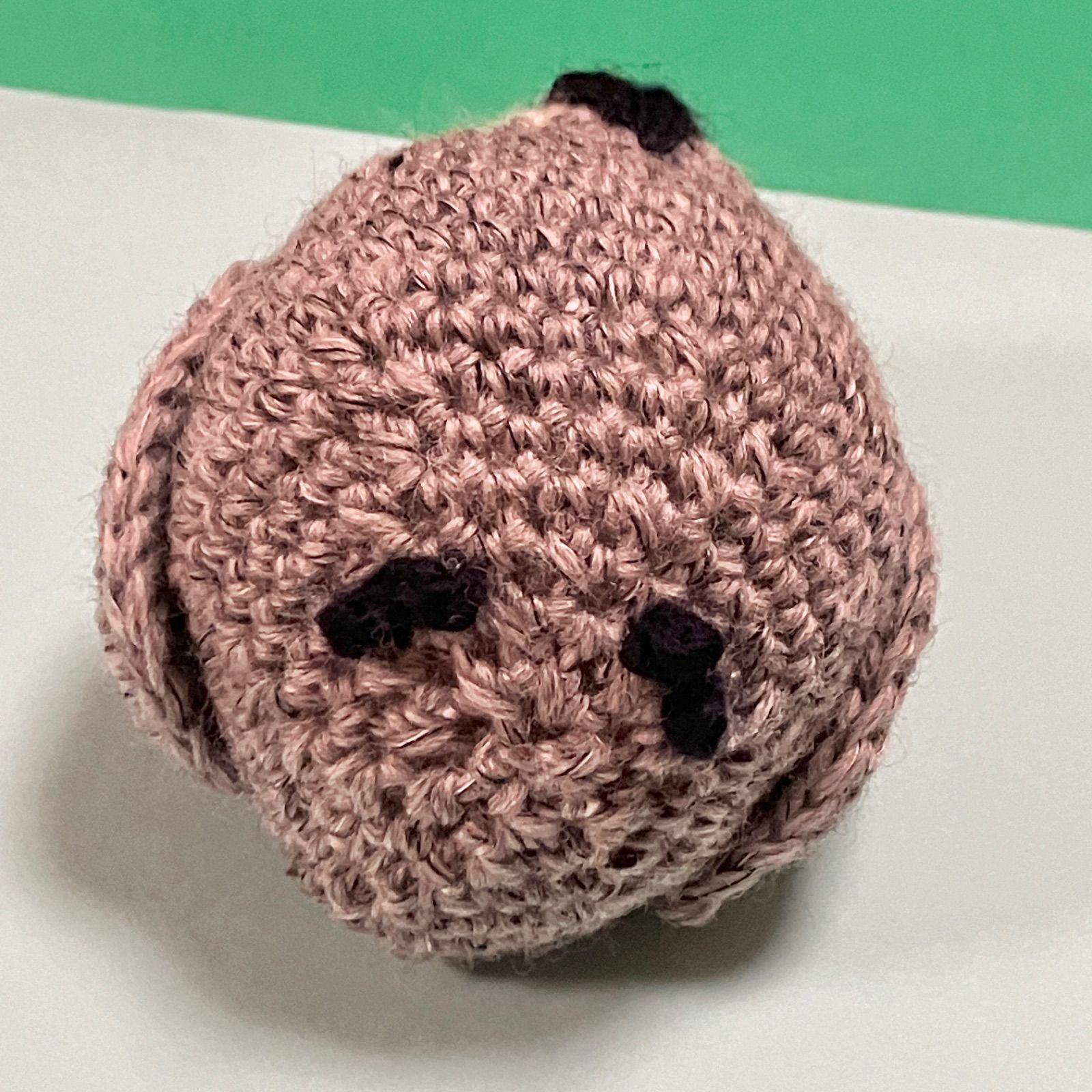 emi.38ms様 匿名配送シンプル エコタワシ 7枚 アクリルたわし コースター ガーランド