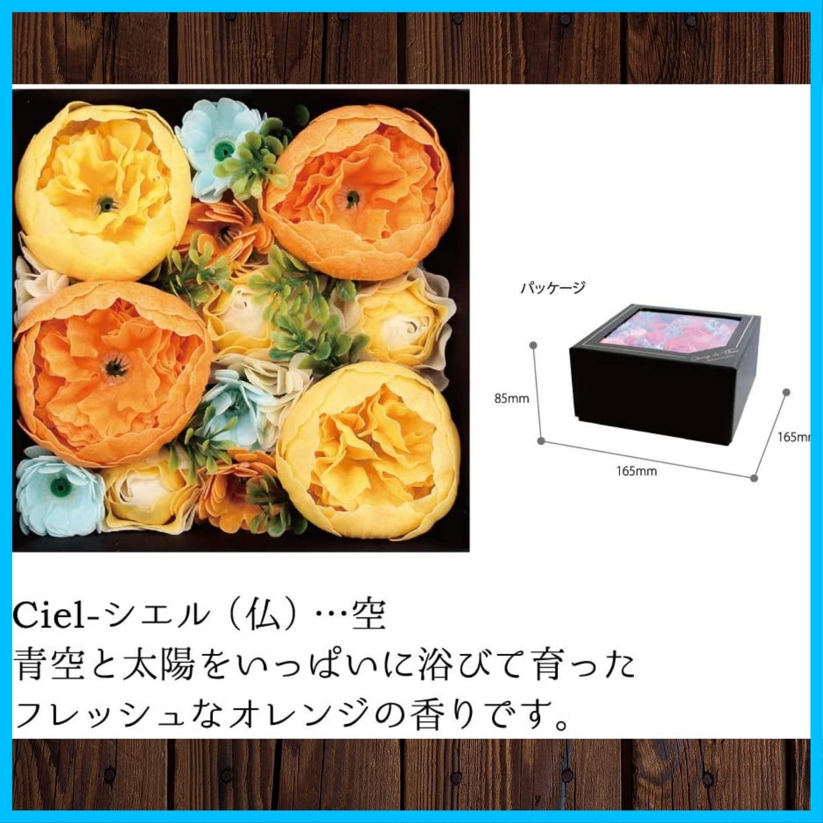 ノルコーポ