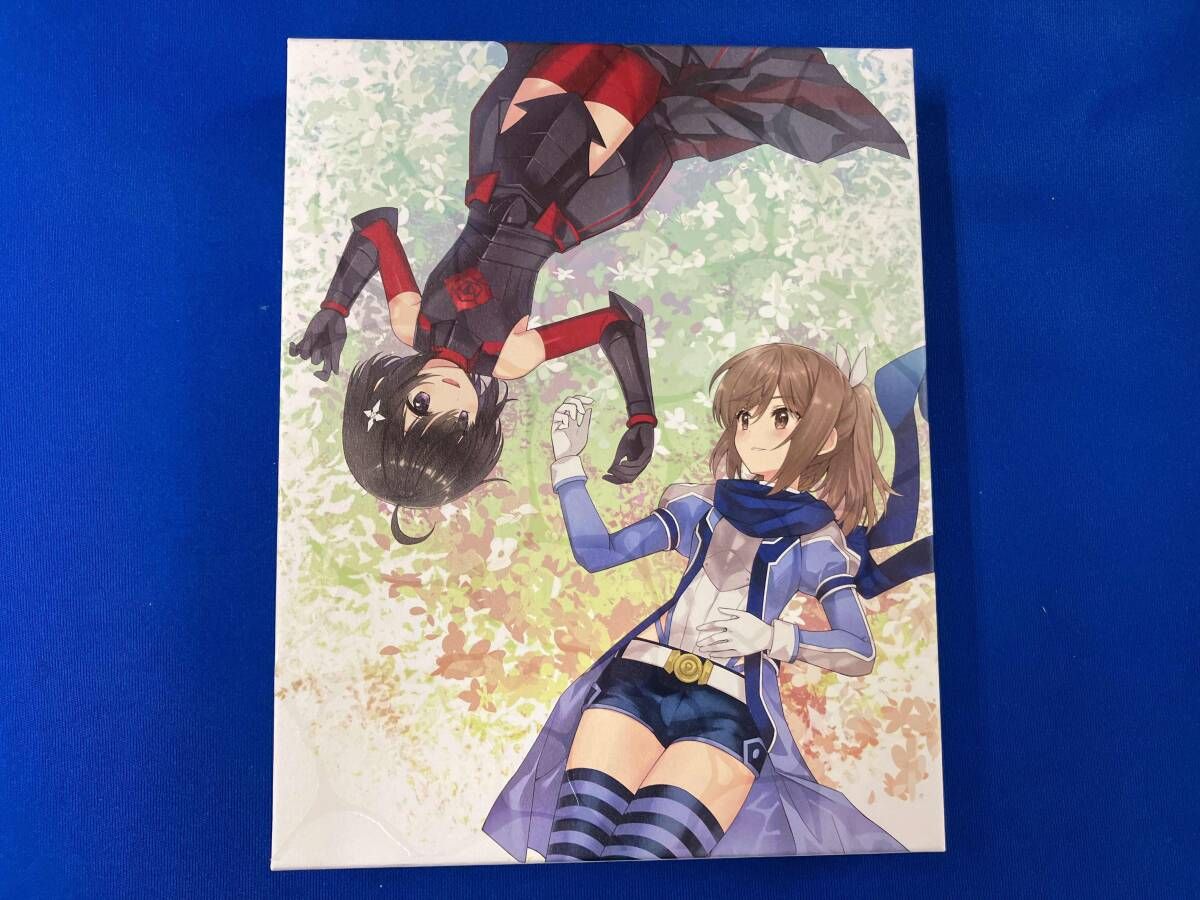 痛いのは嫌なので防御力に 振りしたいと思います Blu-ray BOX Blu-ray Disc