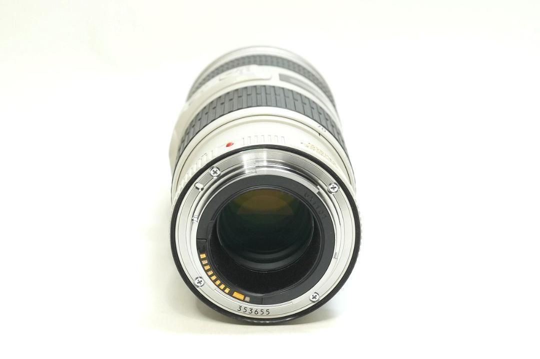 □エクステンダー付き 手振れ付き EF 70-200mm F4 L IS USM - スワーブ