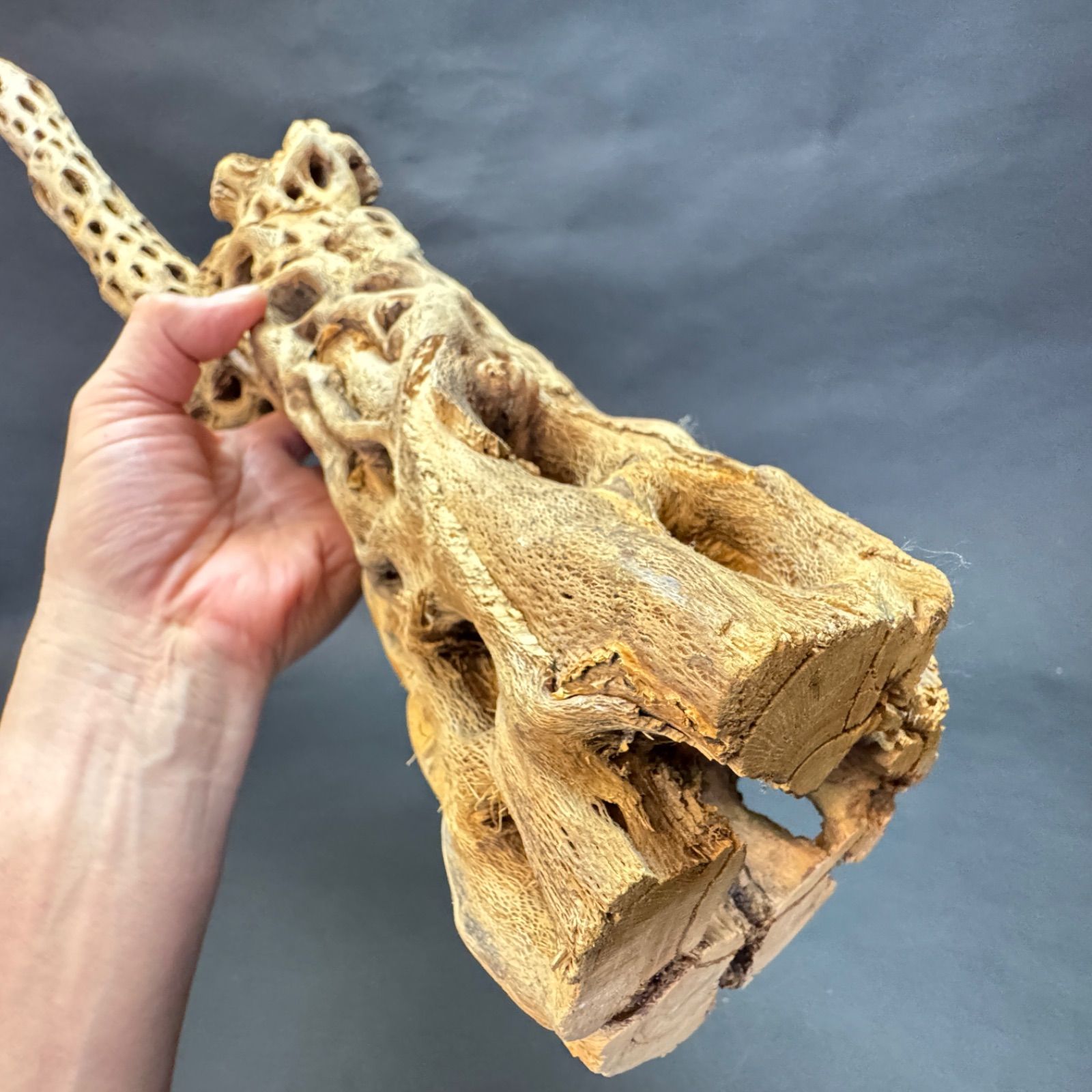 長さ68.5cm×最大幅21cm×最大φ12cm＊ 重さ
