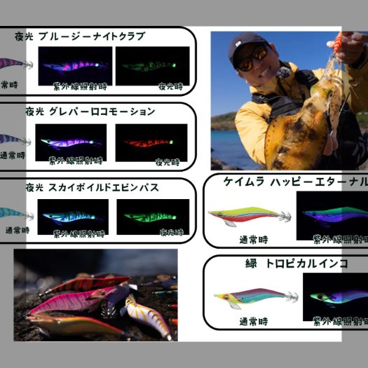 DAIWA ダイワ EMERALDAS エメラルダス エギ 絶版レア セット DAIWA ダイワ EMERALDAS エメラルダス エギ 絶版レア セット