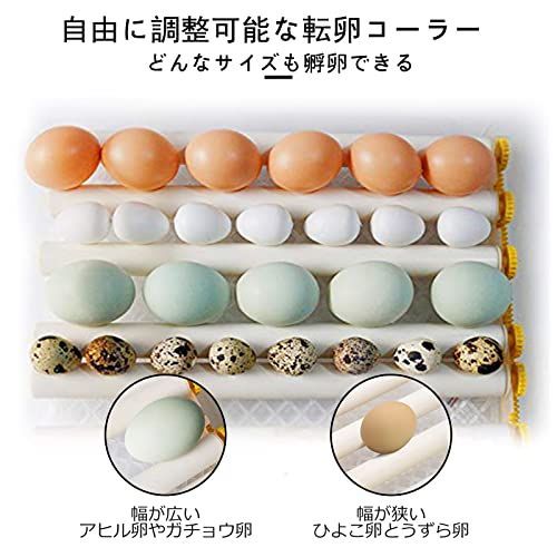 56 Eggs HKDQ 自動孵卵器 インキュベーター 自動転卵式 自動温度制御