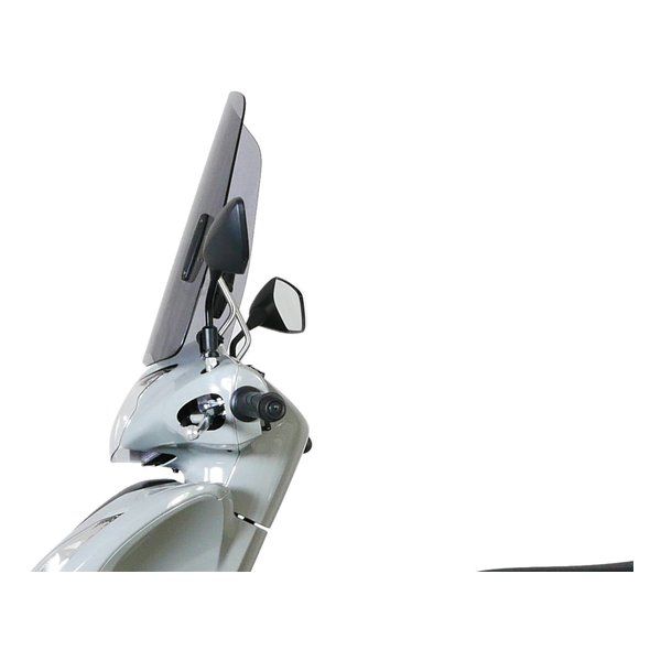 MRA エムアールエー スクリーン ツーリング スモーク ディオ110 15-25 4025066177134 2659172