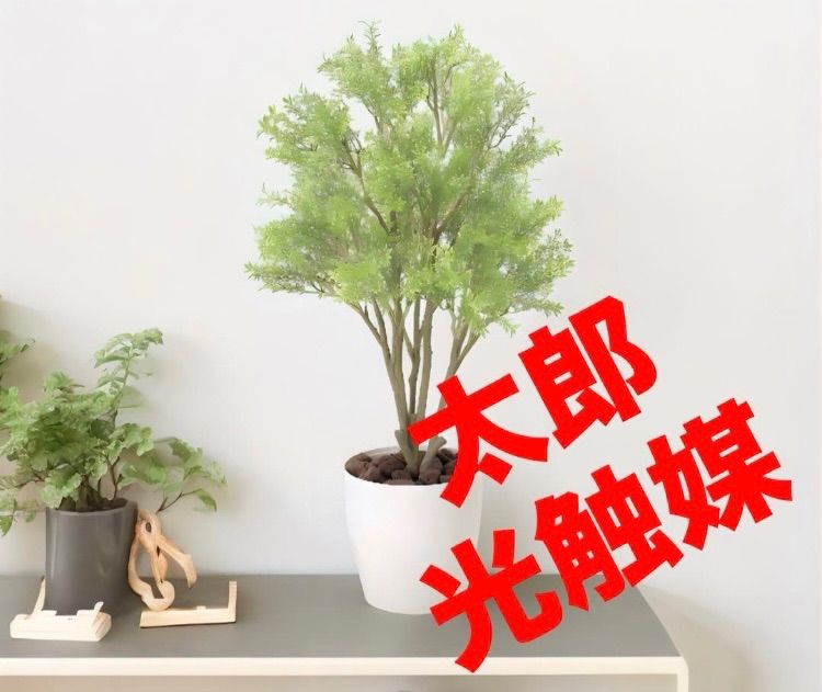 光触媒　人工観葉植物　ウォールグリーン　フェイクグリーン　パキラとカラジューム3 光触媒 人工観葉植物 ウォールグリーン フェイクグリーン パキラと
