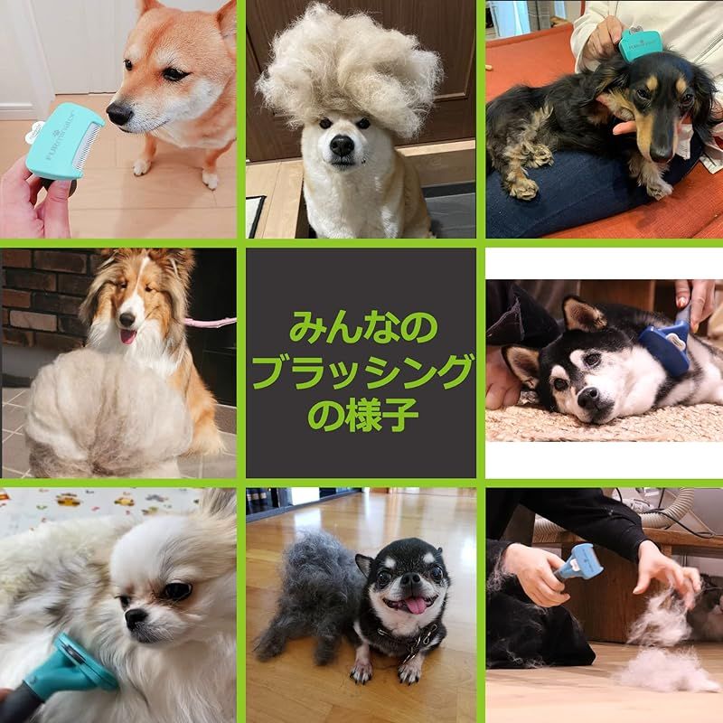 中型犬 短毛種用