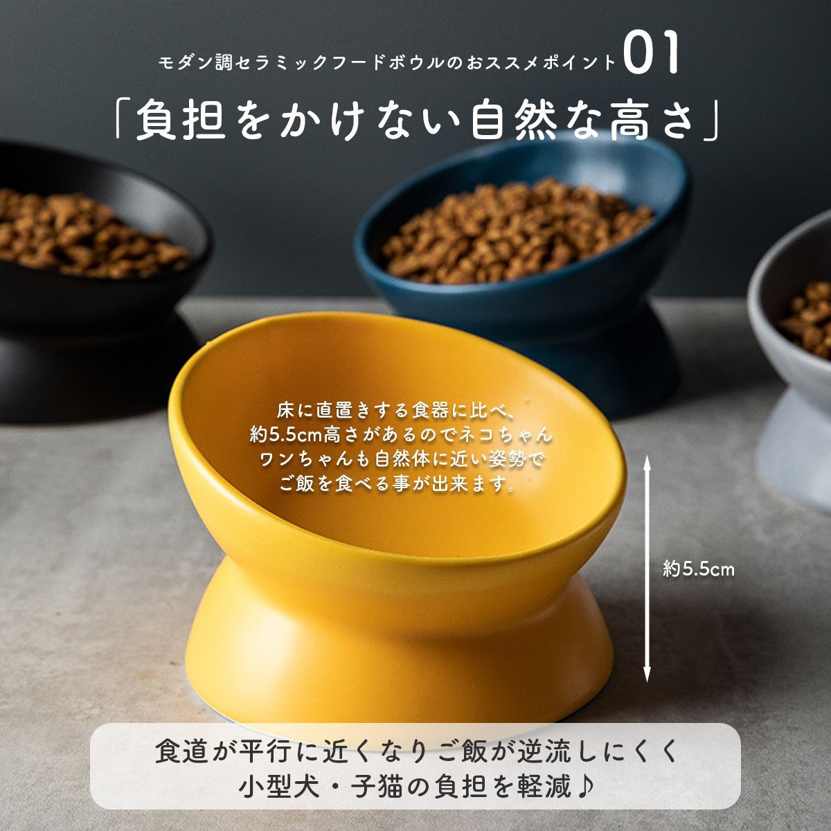 アウトレット  訳あり品 ペット フードボウル 光沢有り ツヤタイプ フードボール 犬 猫 エサ入れ 食べやすい