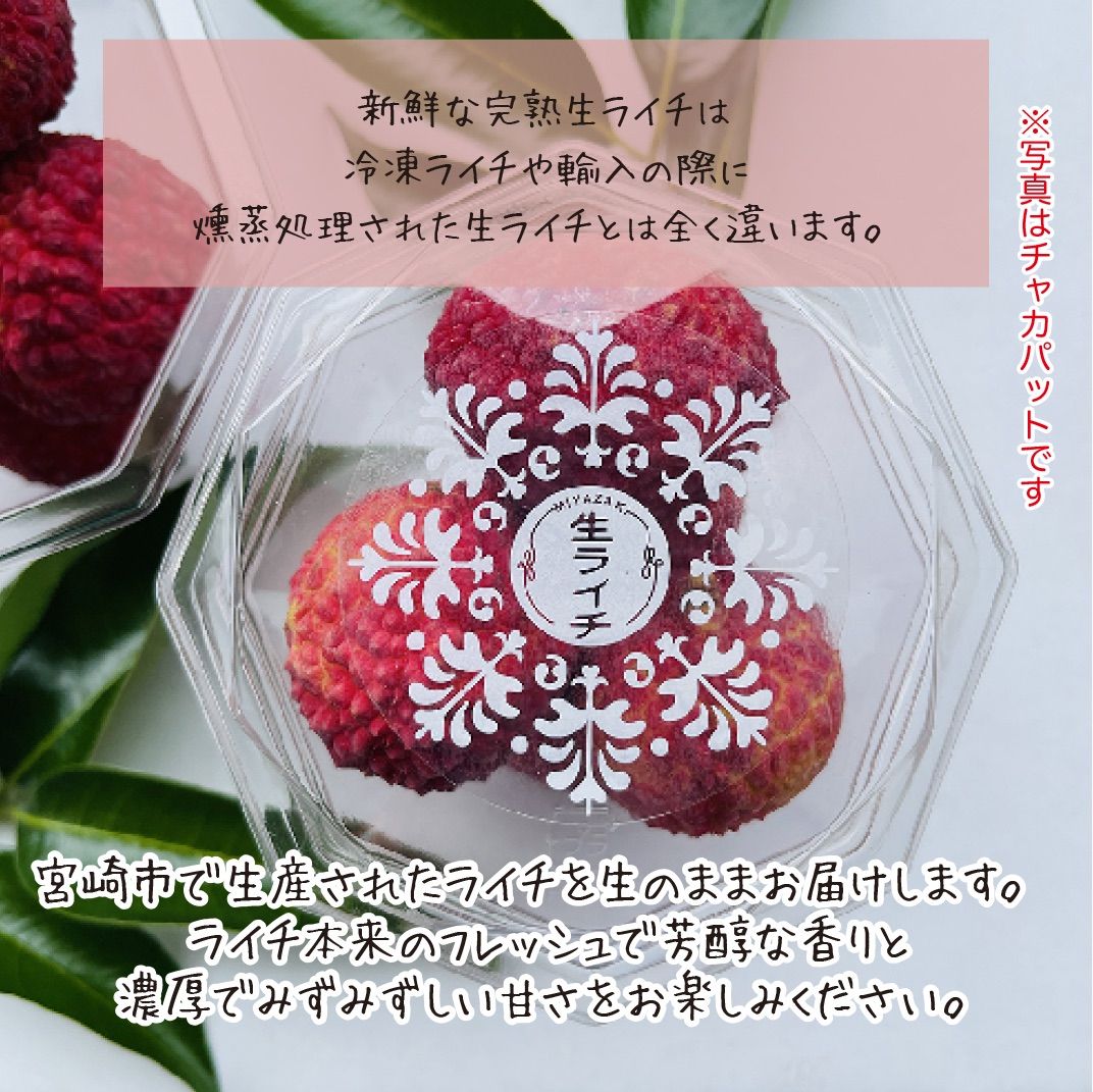 完熟みやざき生ライチ クェイメイピンク 希少 国産 宮崎県産 約400g 新鮮 果実 トロピカル こだわり 農家直送 産地直送 クール便 送料込み -  メルカリ