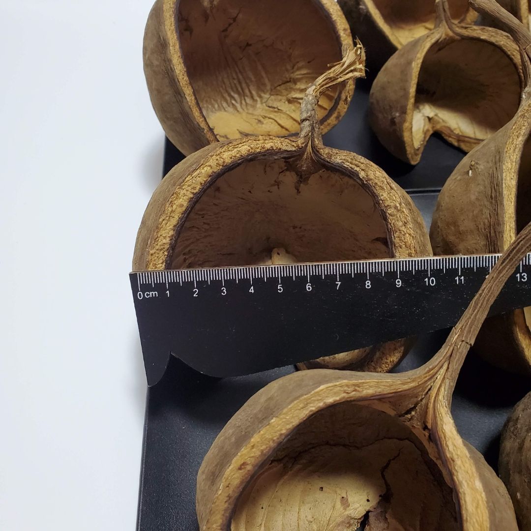 ハンドメイド花材