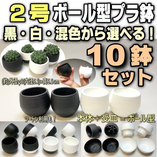 大鉢　2杯 楽天市場】二色細十草 玉割り TOJIKITONYA中鉢/浅鉢 : ヴァン