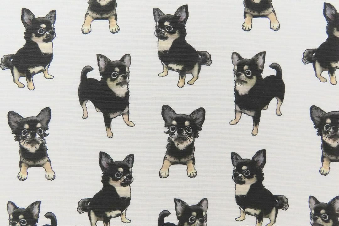 オーダーページ クッキハウスチワワ柄 犬柄 チワワパネル生地