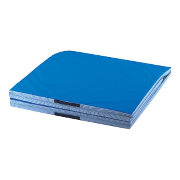 エバニュー Evernew 【メーカー直送品】 立チ幅跳ビ測定マットII 100×330×