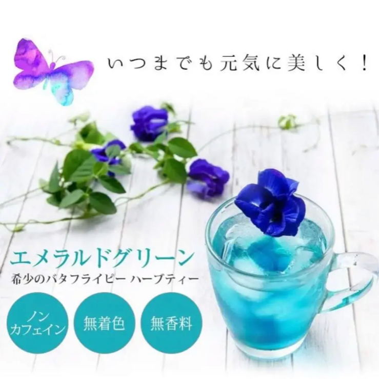 訳あり！青いお茶！1包で1L～2L分❣️ リラックス効果❣️たっぷり120包 クーポンあります❣️1包7カップ分【スッキリ爽やかな味わい】60包×2袋 ミント 🌱 🍋 バタフライピー レモングラス ミント バタフライピー！ ノンカフェイン！ ポスト投函