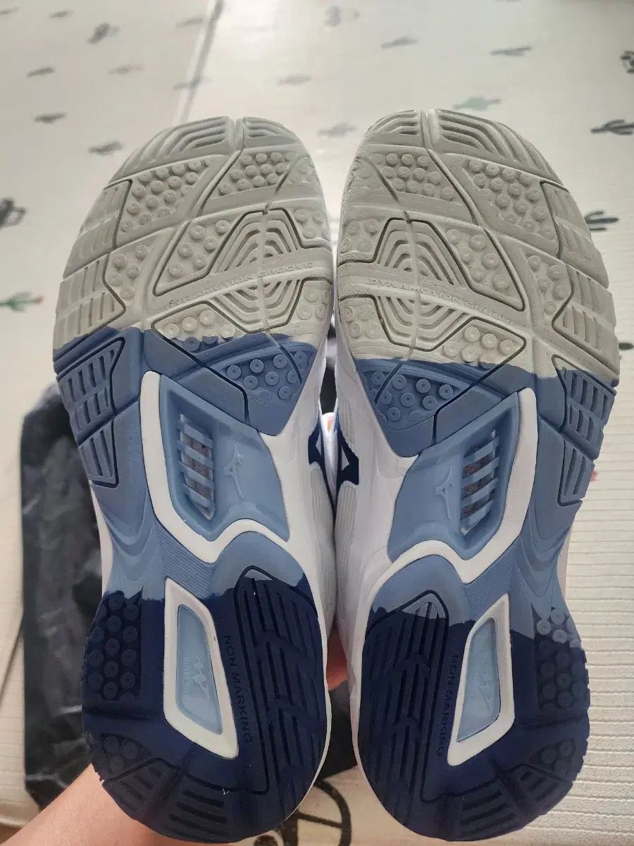 Mizuno