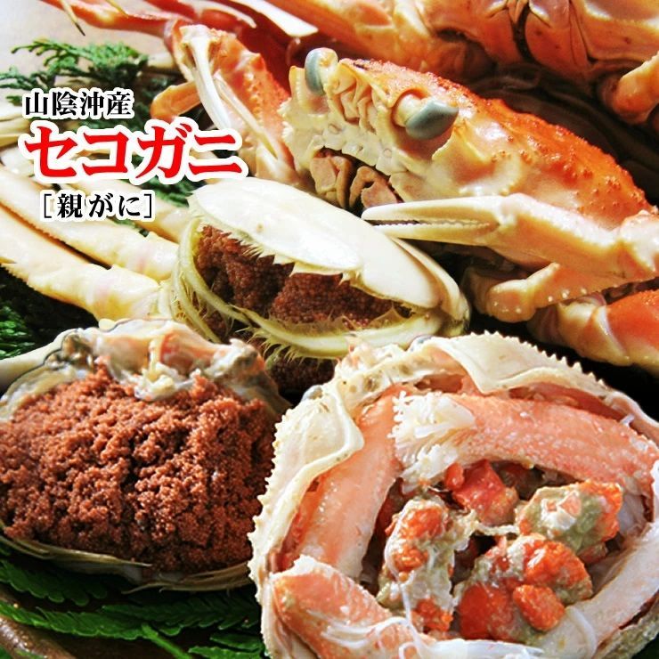 ☆活(生)セコガニ(親がに)訳あり【11月中旬～下旬以降出荷(90日以内に発送)】活(生)でお届け【冷蔵】大サイズ(180g程度が5枚入)蟹かにカニズワイガニ生1805